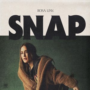 “SNAP”的封面