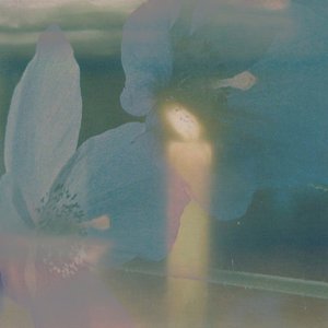 Image for 'Returning Perceptions'