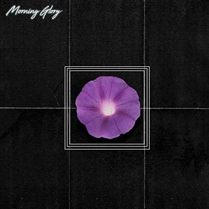 Image for 'Morning Glory'