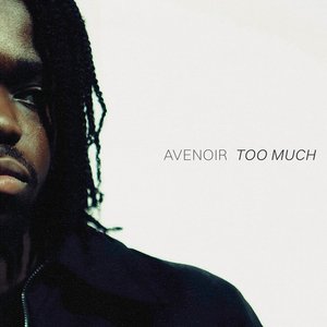 'Too Much'の画像