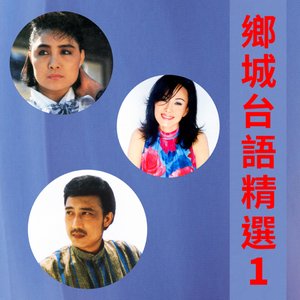 Immagine per '鄉城台語精選, Vol. 1'