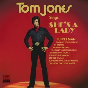 'Tom Jones Sings She's a Lady' için resim