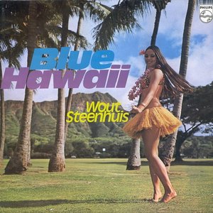 'Blue Hawaii'の画像
