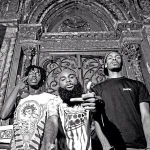 Image for 'Flatbush ZOMBiES'