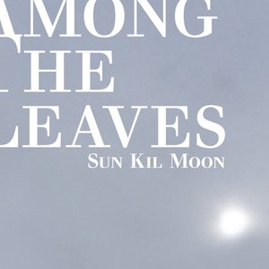 Image for 'Among The Leaves'