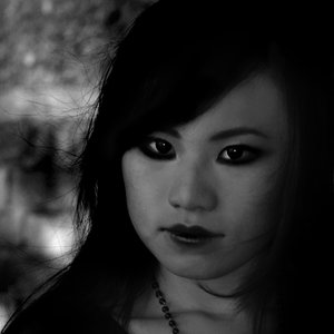 Image for 'Night Rider'