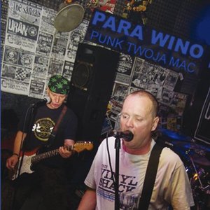 Image for 'Punk twoja mać'