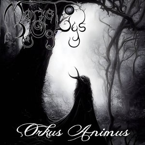 Image for 'Orcus Animus'