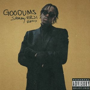 'Goodums (Sammy Virji Remix)' için resim