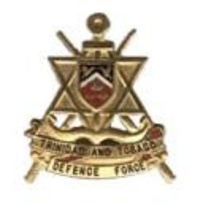 Image for 'The Trinidad and Tobago Defence Force Steel Orchestra'