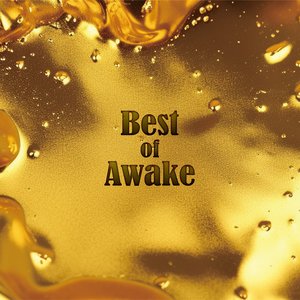 Image for 'Best of Awake'