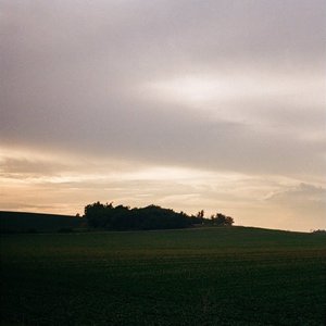 Image pour 'Fields of Green'