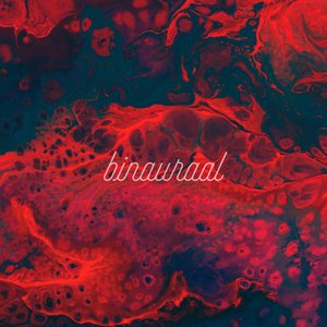 Image for 'Binauraal'