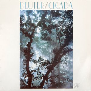 Bild für 'Cicada'