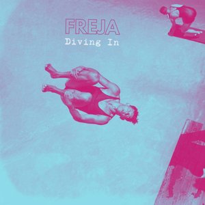 Изображение для 'Diving In'