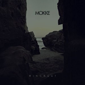Image for 'Wingbeat'