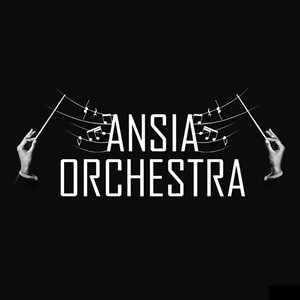 Image pour 'Ansia Orchestra'