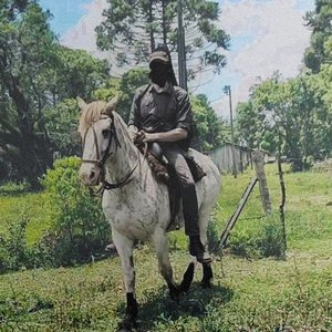 Image for 'Lebres de Março'