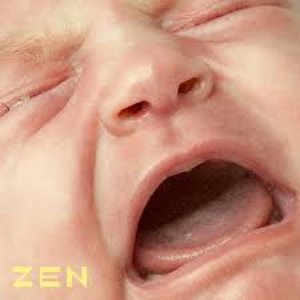“Zen”的封面