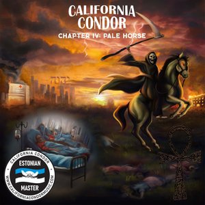 Immagine per 'Chapter IV: Pale Horse'
