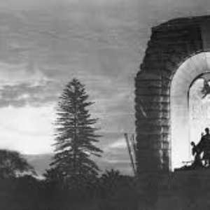 Trizk21