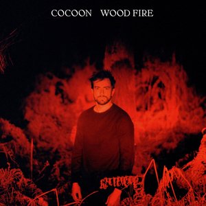 Image for 'Wood Fire'