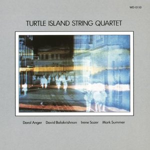 Image for 'Turtle Island String Quartet'