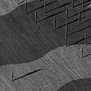 Zdjęcia dla 'neurodivergent'