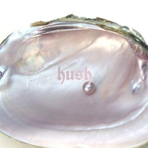 'Hush - Single' için resim