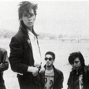 Image for 'Der Zibet'