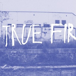 'True Fir' için resim