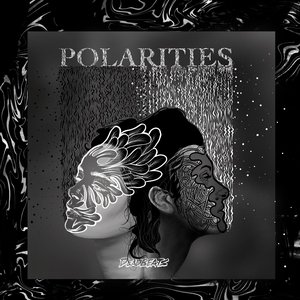 Image for 'Polarities'