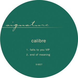 Изображение для 'Falls To You VIP / End of Meaning'