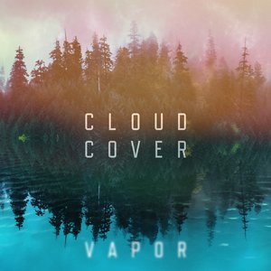 Image for 'Vapor'