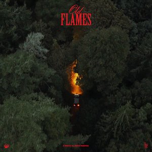 Bild für 'Old Flames'