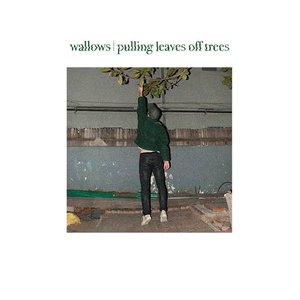 Image for 'Pulling Leaves off Trees'