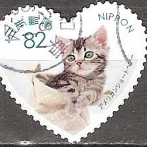 Inkungci