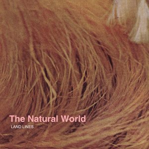 Image for 'The Natural World'