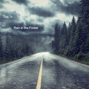 Image for 'Rain in the Forest'