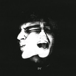 Image for 'DIY'