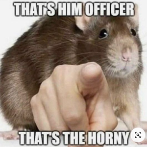 Emo_CatB0y
