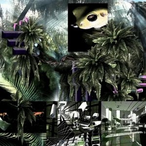 “estuary”的封面