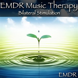 Image for 'EMDR Music Therapy Bilateral Stimulation'