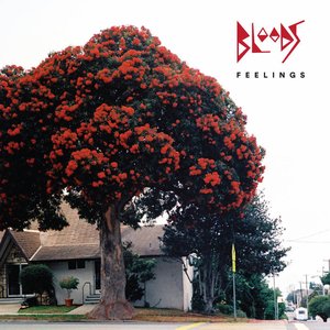 Image for 'Feelings'