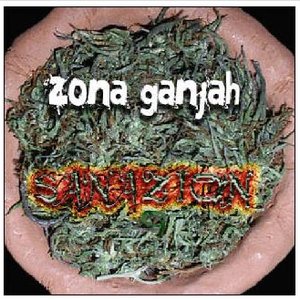 “Sanazion”的封面