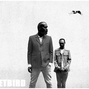 Image for 'The Jetbird'
