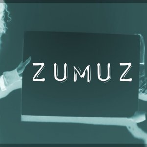 Image for 'zumuz'