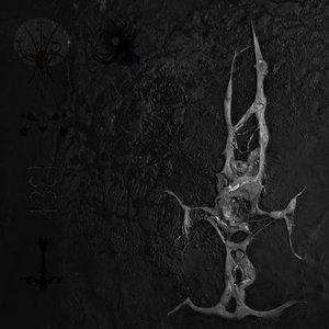 Image for 'Lance'