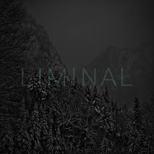 Изображение для 'Liminal'