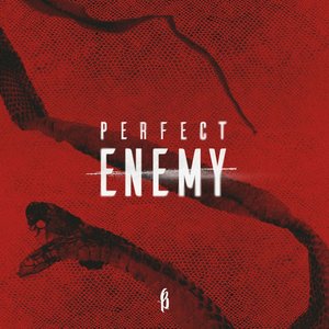 Immagine per 'Perfect Enemy'